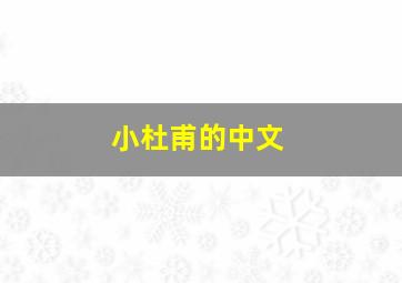 小杜甫的中文