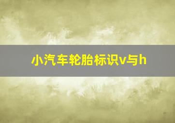 小汽车轮胎标识v与h