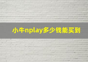 小牛nplay多少钱能买到