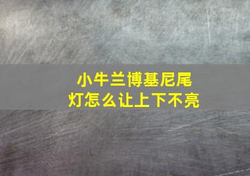 小牛兰博基尼尾灯怎么让上下不亮