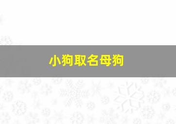 小狗取名母狗