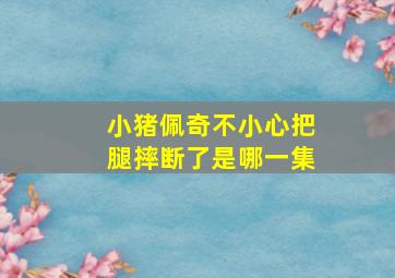 小猪佩奇不小心把腿摔断了是哪一集