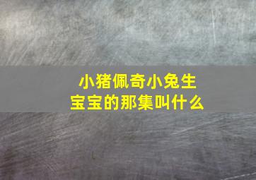 小猪佩奇小兔生宝宝的那集叫什么