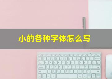 小的各种字体怎么写