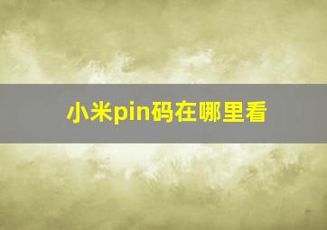 小米pin码在哪里看