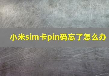 小米sim卡pin码忘了怎么办