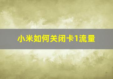 小米如何关闭卡1流量