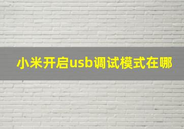 小米开启usb调试模式在哪