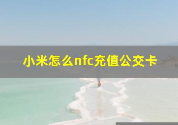 小米怎么nfc充值公交卡