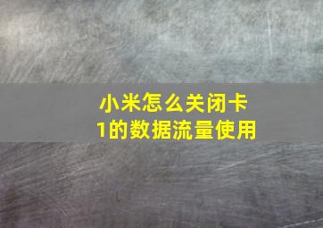 小米怎么关闭卡1的数据流量使用