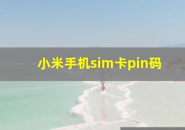 小米手机sim卡pin码