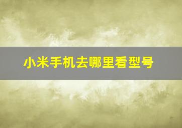 小米手机去哪里看型号