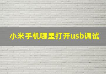 小米手机哪里打开usb调试