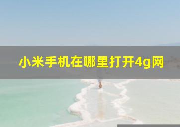 小米手机在哪里打开4g网