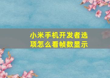 小米手机开发者选项怎么看帧数显示