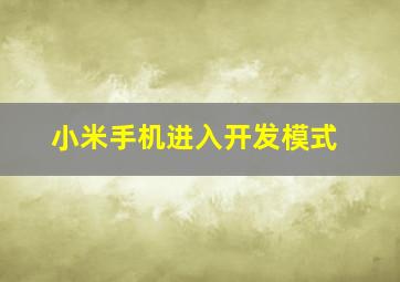 小米手机进入开发模式