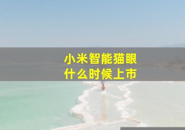 小米智能猫眼什么时候上市