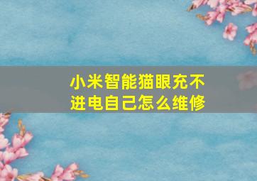 小米智能猫眼充不进电自己怎么维修