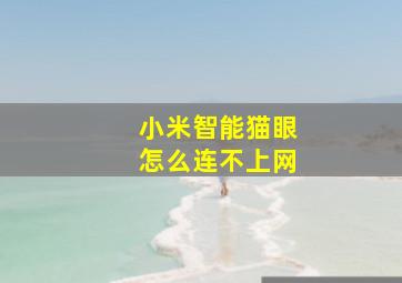 小米智能猫眼怎么连不上网