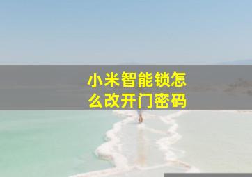 小米智能锁怎么改开门密码