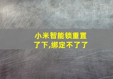 小米智能锁重置了下,绑定不了了