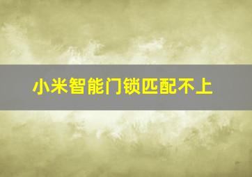 小米智能门锁匹配不上