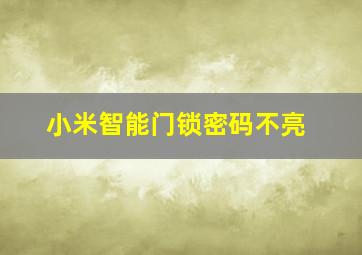 小米智能门锁密码不亮