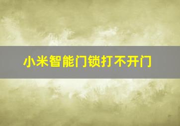 小米智能门锁打不开门