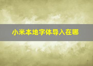 小米本地字体导入在哪