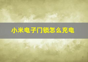 小米电子门锁怎么充电