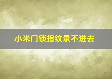 小米门锁指纹录不进去