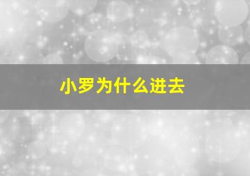 小罗为什么进去