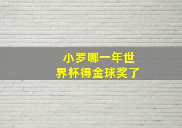 小罗哪一年世界杯得金球奖了