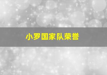 小罗国家队荣誉