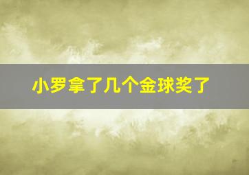 小罗拿了几个金球奖了