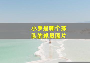 小罗是哪个球队的球员图片