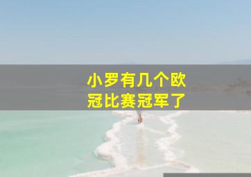 小罗有几个欧冠比赛冠军了