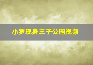 小罗现身王子公园视频