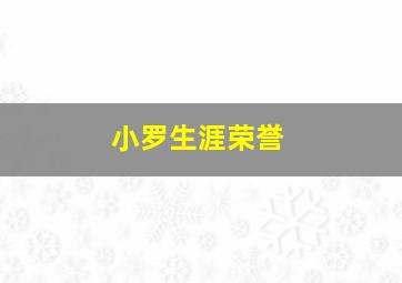 小罗生涯荣誉