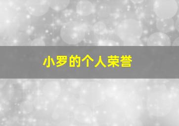 小罗的个人荣誉