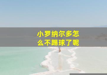 小罗纳尔多怎么不踢球了呢