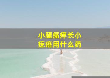 小腿瘙痒长小疙瘩用什么药