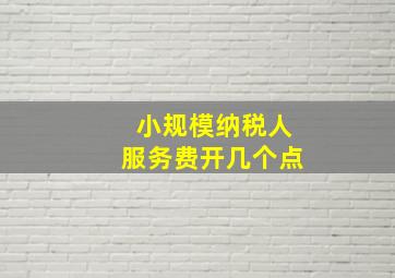 小规模纳税人服务费开几个点