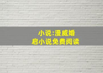 小说:漫威婚启小说免费阅读