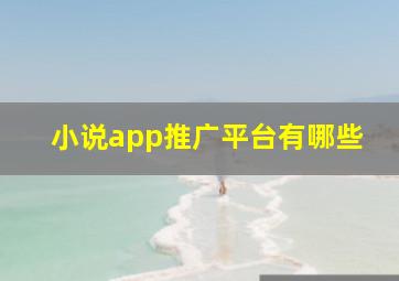 小说app推广平台有哪些