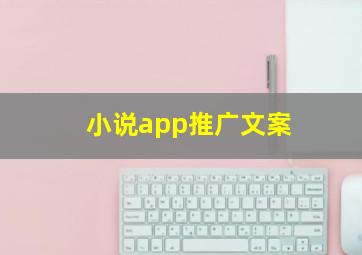 小说app推广文案