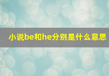 小说be和he分别是什么意思