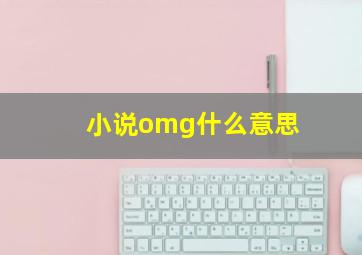 小说omg什么意思