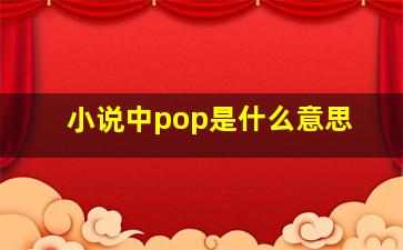 小说中pop是什么意思