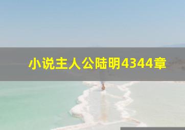 小说主人公陆明4344章